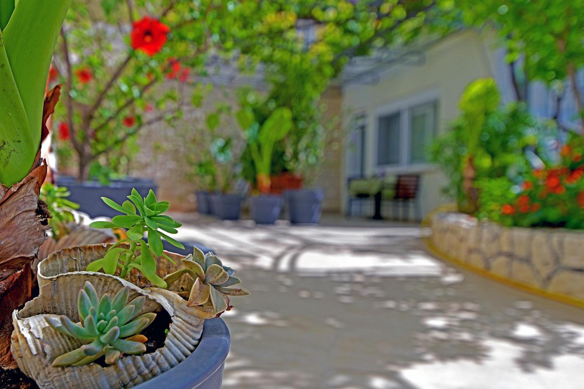 Apartments Micic Hvar Town Exteriér fotografie